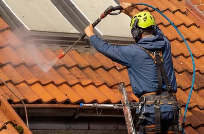 Démoussage et hydrofuge de toiture à Aussos